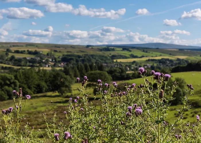Hotel Gilsland Hall Carlisle (Cumbria)